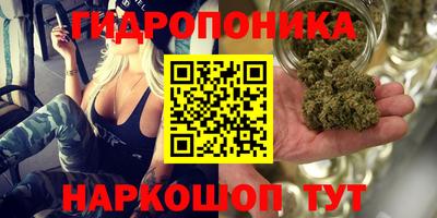 соль ск Кингисепп
