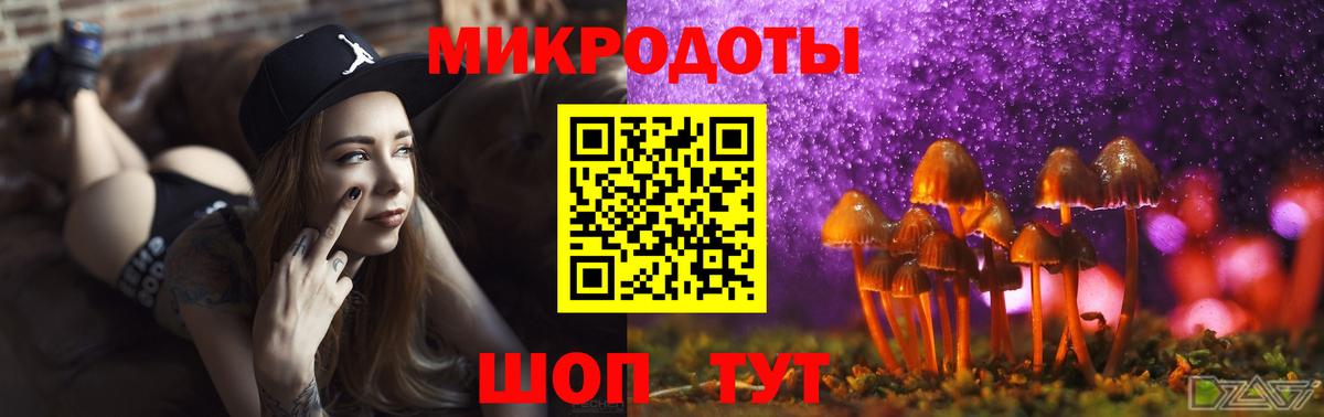 Псилоцибиновые грибы Psilocybe Чистополь